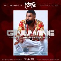 Ginuwine Official Concert After Party