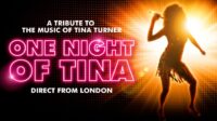 One Night of Tina: