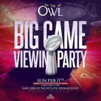 Superbowl Watch Party at The Owl San Diego