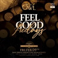 The Owl Feel Good Fridays w/ DJ Birdy Bird
